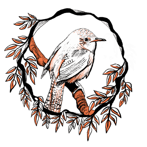 Wren Rausch